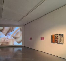 Prvé múzeum intermédií III - Nežná sila