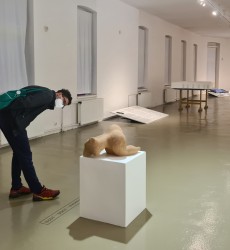 Komentovaná prehliadka (23.9.2021)