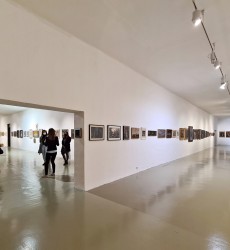 Komentovaná prehliadka (23.9.2021)