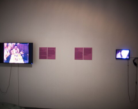 Prvé múzeum intermédií III - Nežná sila