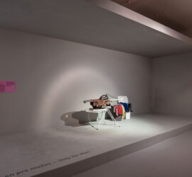 Ladislav Čarný - Žehlenie pre mužov (z cyklu Domáce práce pre mužov), 2004