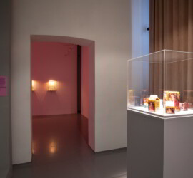 Prvé múzeum intermédií III - Nežná sila