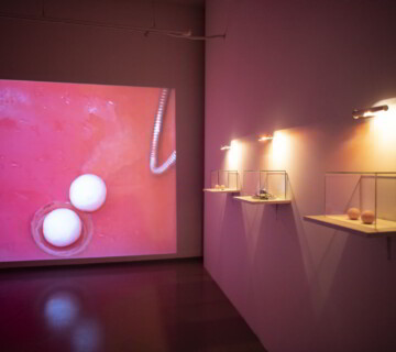 Jana Želibská - Jej pohľad na neho, 1996