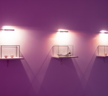 Jana Želibská - Jej pohľad na neho, 1996