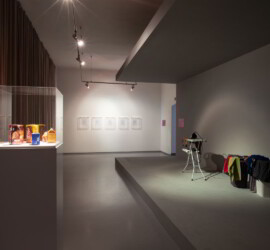 Prvé múzeum intermédií III - Nežná sila