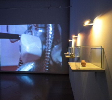 Jana Želibská - Jej pohľad na neho, 1996