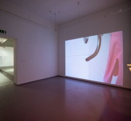 Prvé múzeum intermédií III - Nežná sila