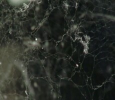 Peter Meluzin: AFTERPARTY, 2012