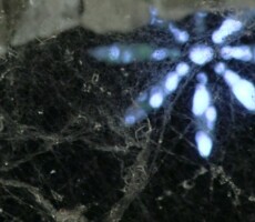 Peter Meluzin: AFTERPARTY, 2012