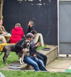 Maľuj podľa seba 8. ročník