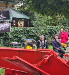 Maľuj podľa seba 8. ročník