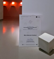 Ocenenie BIELA KOCKA