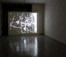 Peter Meluzin: AFTERPARTY, 2012