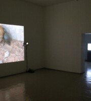 Peter Meluzín: Skarabeus (teória všetkého), 2006