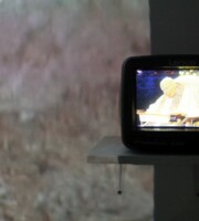 Peter Meluzín: Skarabeus (teória všetkého), 2006