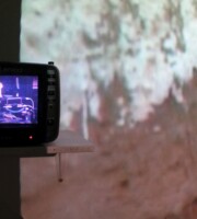 Peter Meluzín: Skarabeus (teória všetkého), 2006