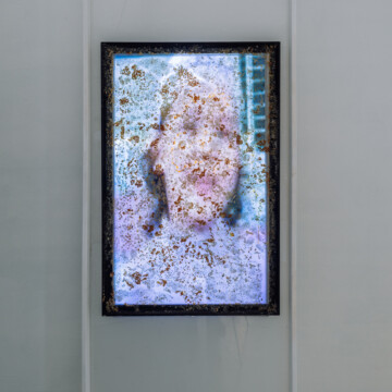 Ladislav Čarný - "Mám česť byť partnerom zákonitostí prírody"