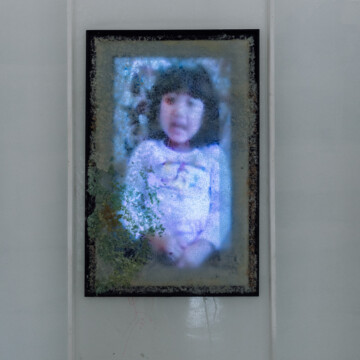 Ladislav Čarný - "Mám česť byť partnerom zákonitostí prírody"