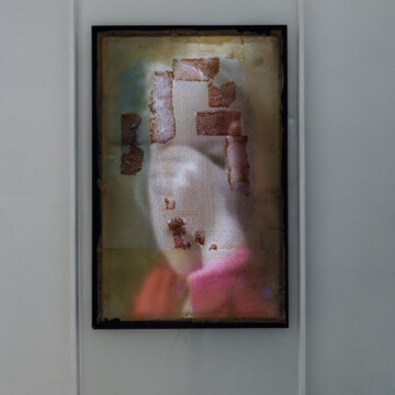 Ladislav Čarný - "Mám česť byť partnerom zákonitostí prírody"