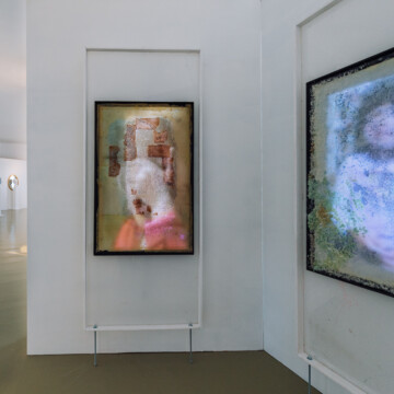 Ladislav Čarný - "Mám česť byť partnerom zákonitostí prírody"