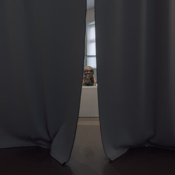 Ladislav Čarný - "Mám česť byť partnerom zákonitostí prírody"