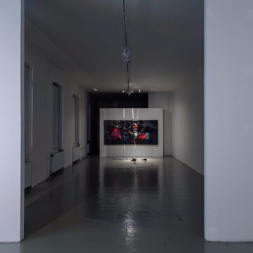 Ladislav Čarný - "Mám česť byť partnerom zákonitostí prírody"