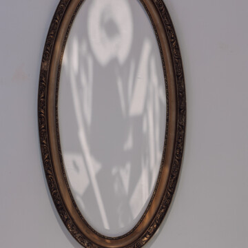 Ladislav Čarný - "Mám česť byť partnerom zákonitostí prírody"