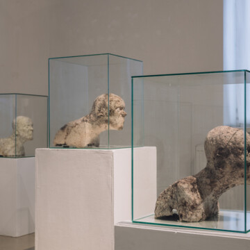 Ladislav Čarný - "Mám česť byť partnerom zákonitostí prírody"