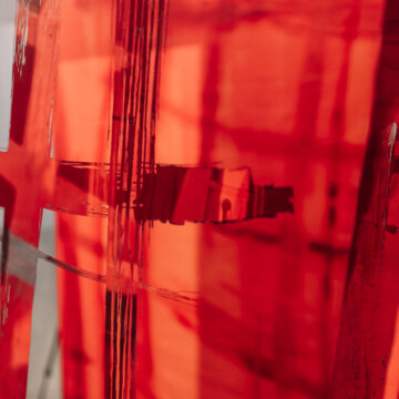 Ladislav Čarný - "Mám česť byť partnerom zákonitostí prírody"