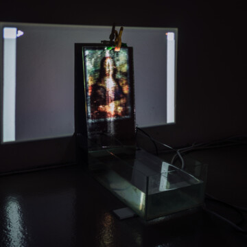 Ladislav Čarný - "Mám česť byť partnerom zákonitostí prírody"