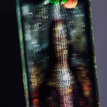 Ladislav Čarný - "Mám česť byť partnerom zákonitostí prírody"