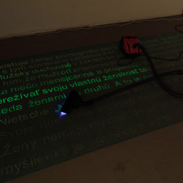 Ladislav Čarný - "Mám česť byť partnerom zákonitostí prírody"