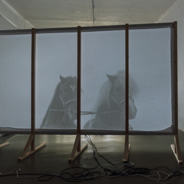 Výstava SLIPPERY MNENOSYNE