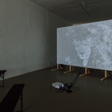 Výstava SLIPPERY MNENOSYNE