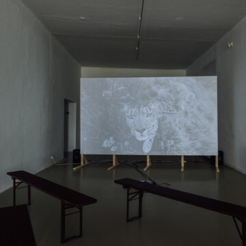 Výstava SLIPPERY MNENOSYNE