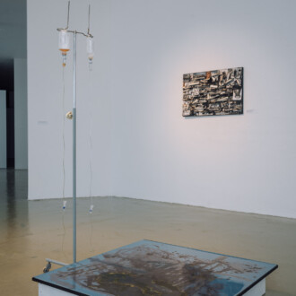 Józef Robakowski - Videomasochizmy