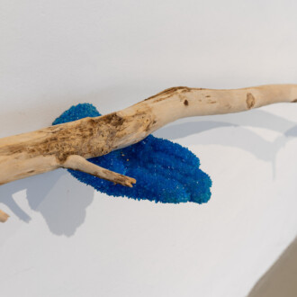 MAREK KVETAN / Fake it till you make it