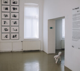 Pino Pascali - vernisáž