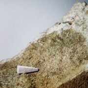 Juraj Gábor - Fotografie na archívnom papieri, formát A4, 6ks